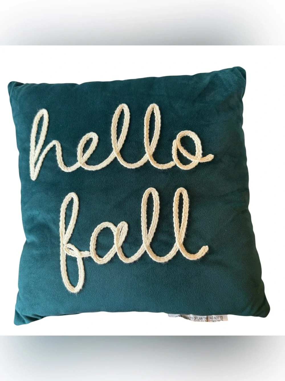 Hello Fall Teal Velvet Embroidered Decorative Pillow